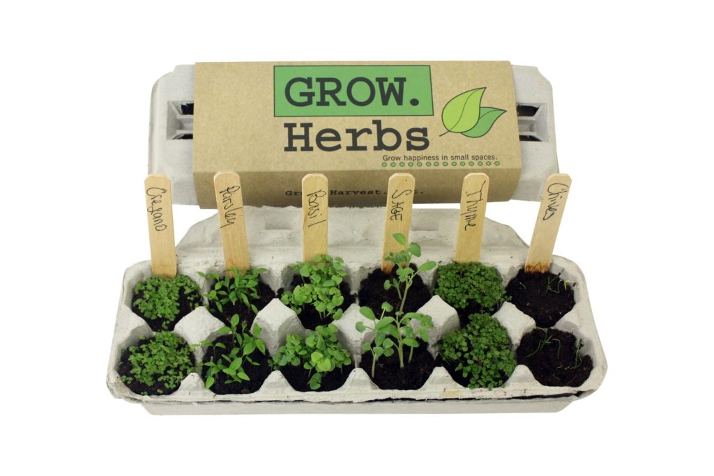 Grow_Herb_package_with_garden The Mole Hole